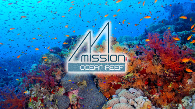 Mission Ocean Reef design and branding TMRC portfolio