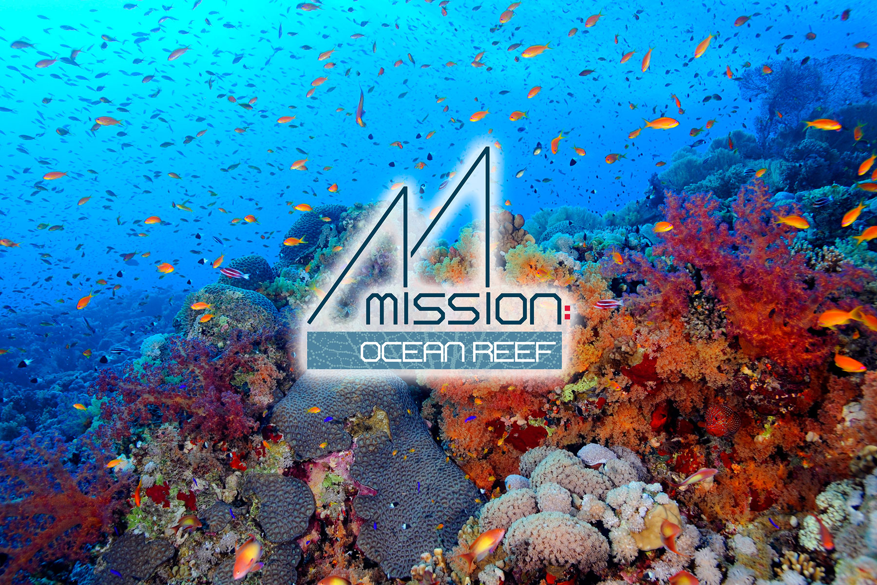 Mission Ocean Reef design and branding TMRC portfolio